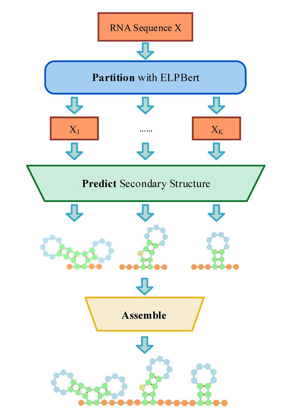 PPA model