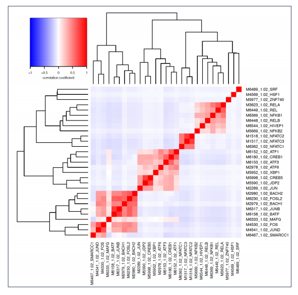 clustering of TF motifs